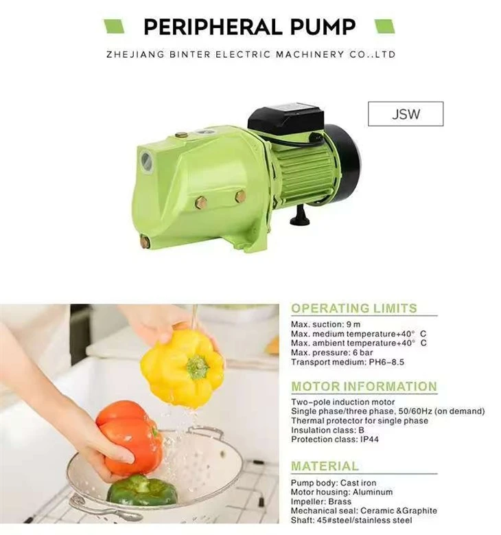 1HP Jsw-10m Rise 38m High Pressure Home Use Pressure Boost Pumping Machine Water Pump best 1HP Jsw-10m Rise 38m High Pressure Home Use Pressure Boost Pumping Machine Water Pump best