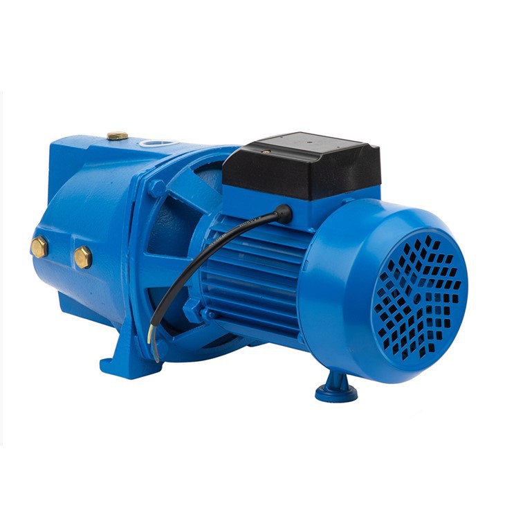 JSW Self-Priming Water Pump
