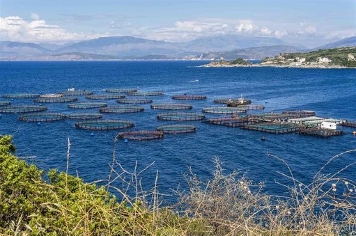 Aquaculture Applications Aquaculture Applications
