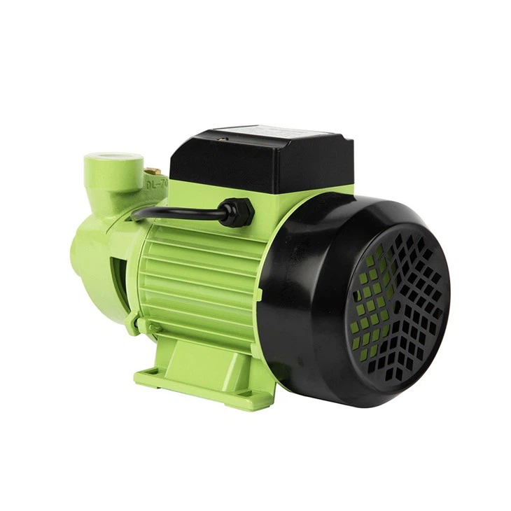 PKM60 Garden Irrigation Peripheral Pump 0.5HP 35m Head Small Farm Use best