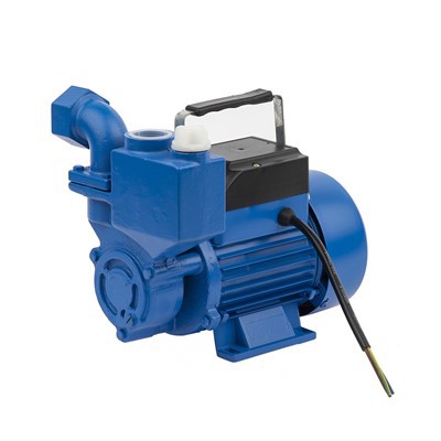 Izdb-35 0.37kw 0.5HP General Electric Brass Impeller Self-Priming Peripheral Water Pump