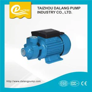 DALANG Brand 0.5HP Copper Wire Brass Impeller Electric Peripheral Clean Water Pump